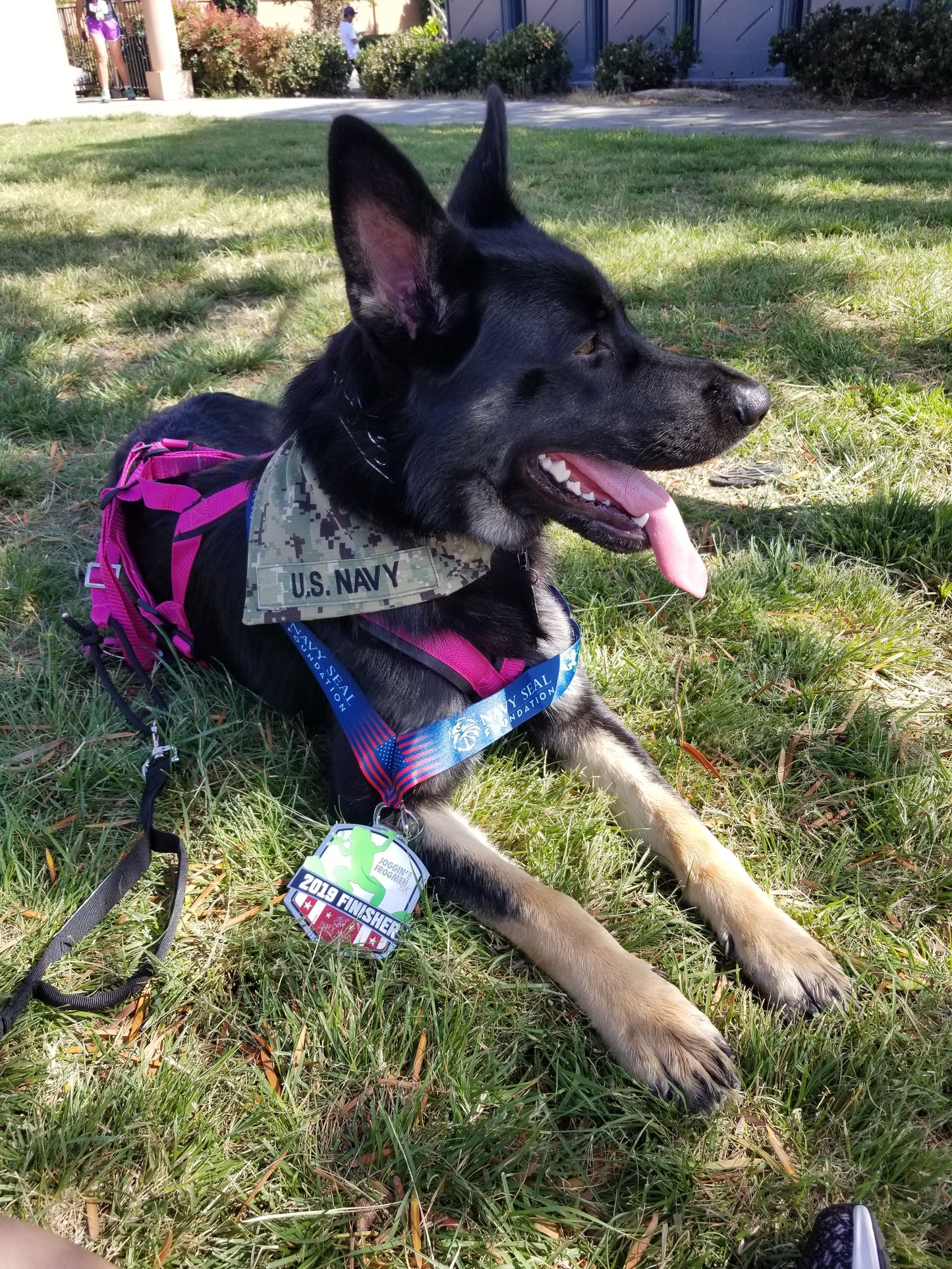 U.S. Navy Type III Digital Custom Military Dog Cat Slip On Collar Bandana