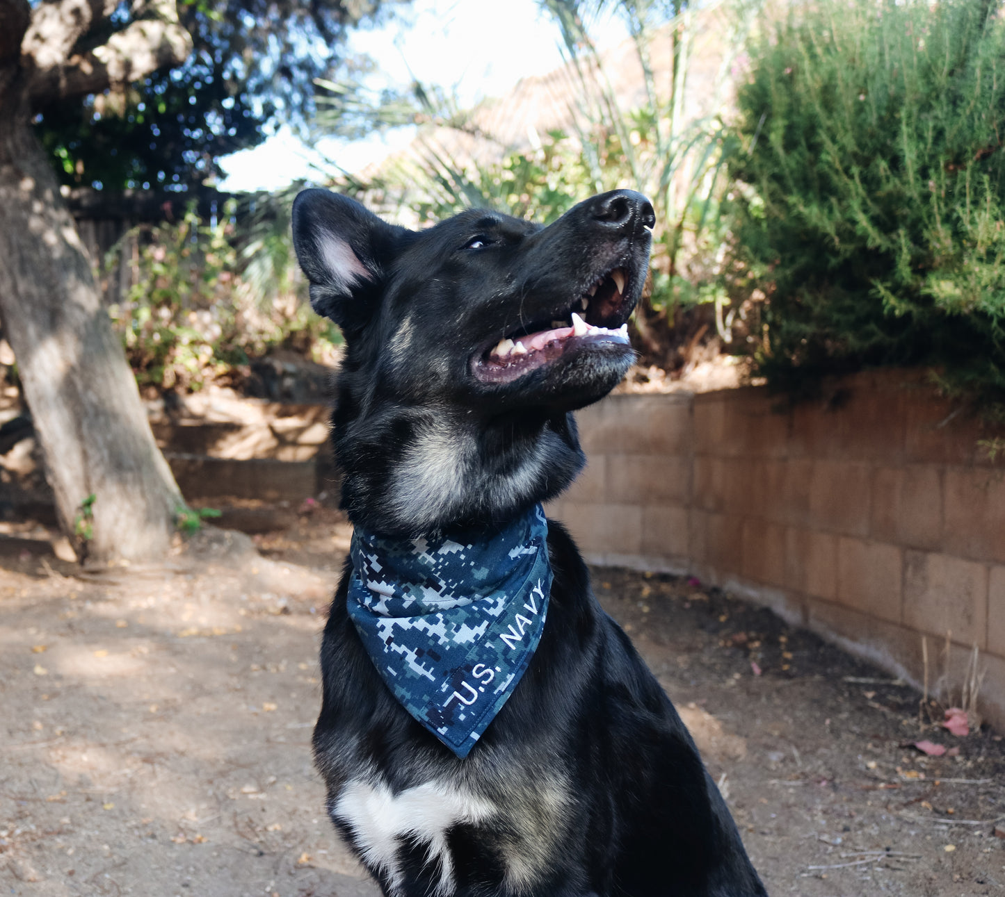 U.S. Navy Type I Digital Custom Military Dog Cat Slip On Collar Bandana