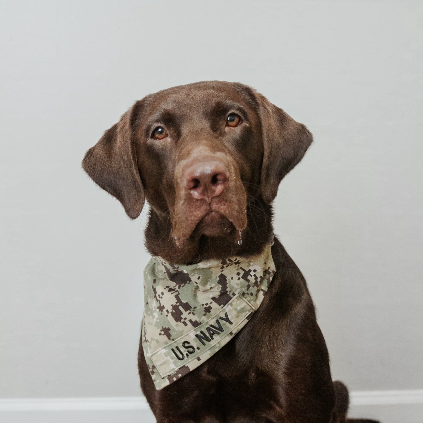 U.S. Navy Type III Digital Custom Military Dog Cat Slip On Collar Bandana