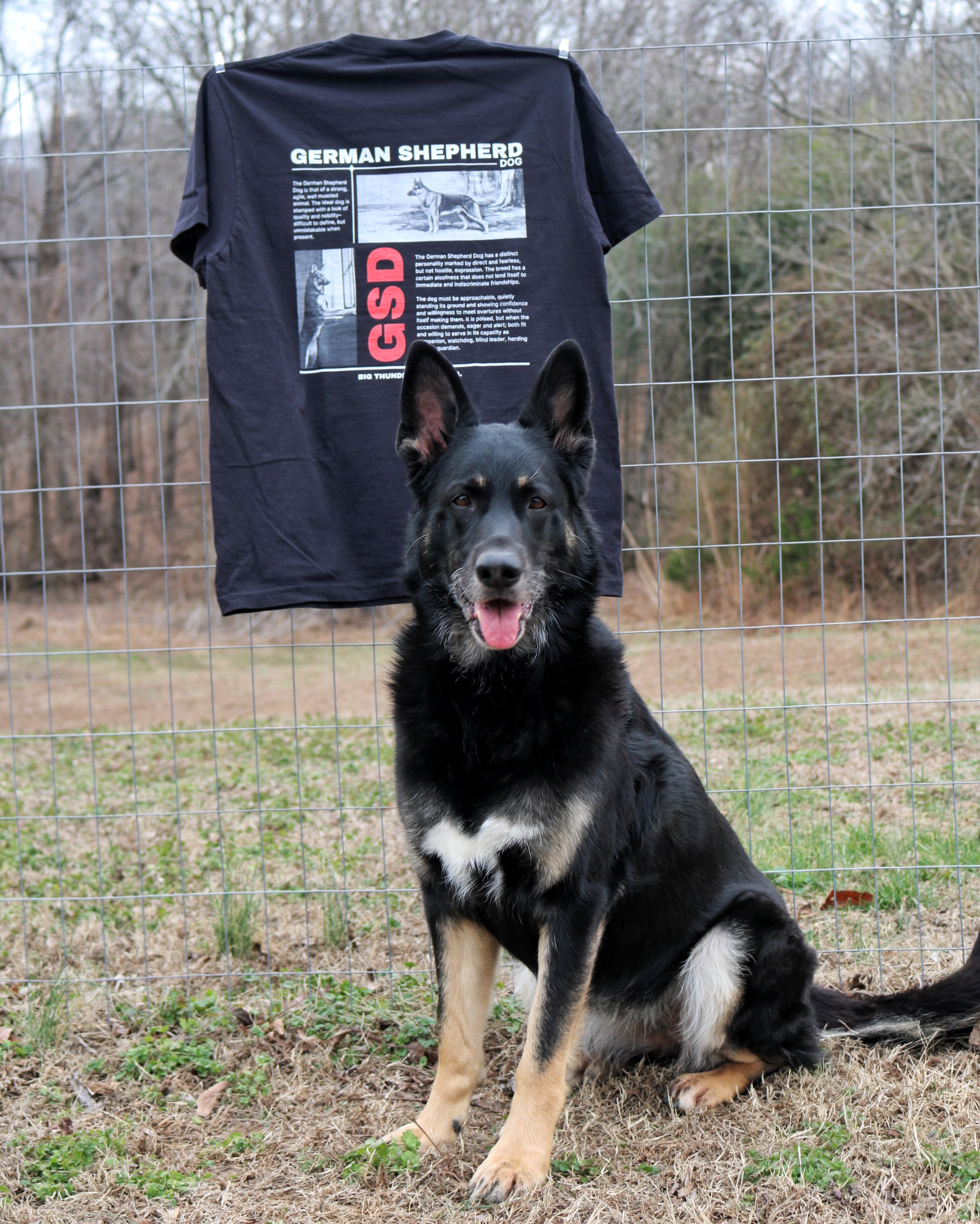 German Shepherd - Comfort Colors Unisex Heavyweight T-shirt