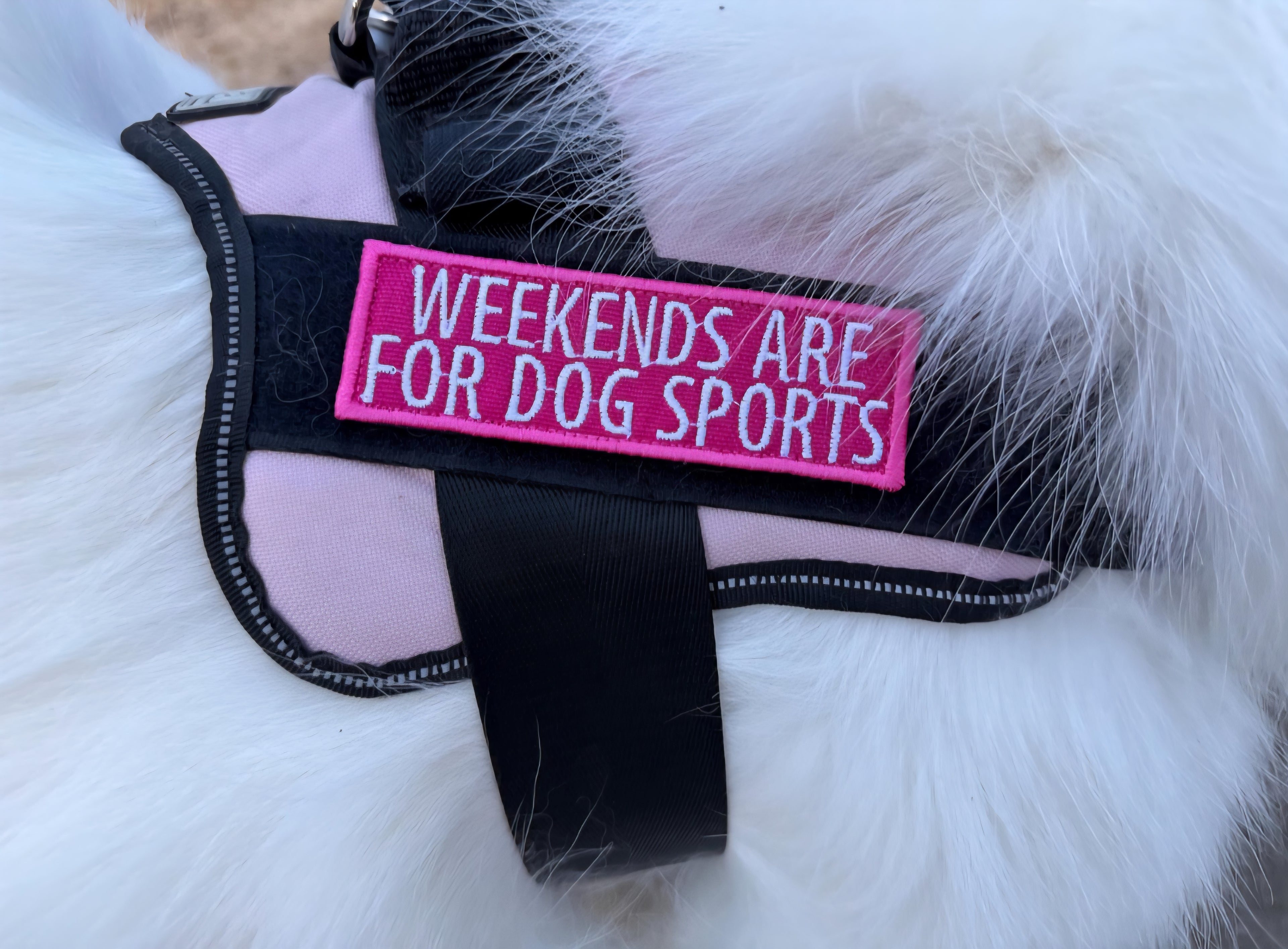 Weekends Are For Dog Sports - Patches