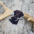 Chocolate Labrador Shed Hunt Sticker