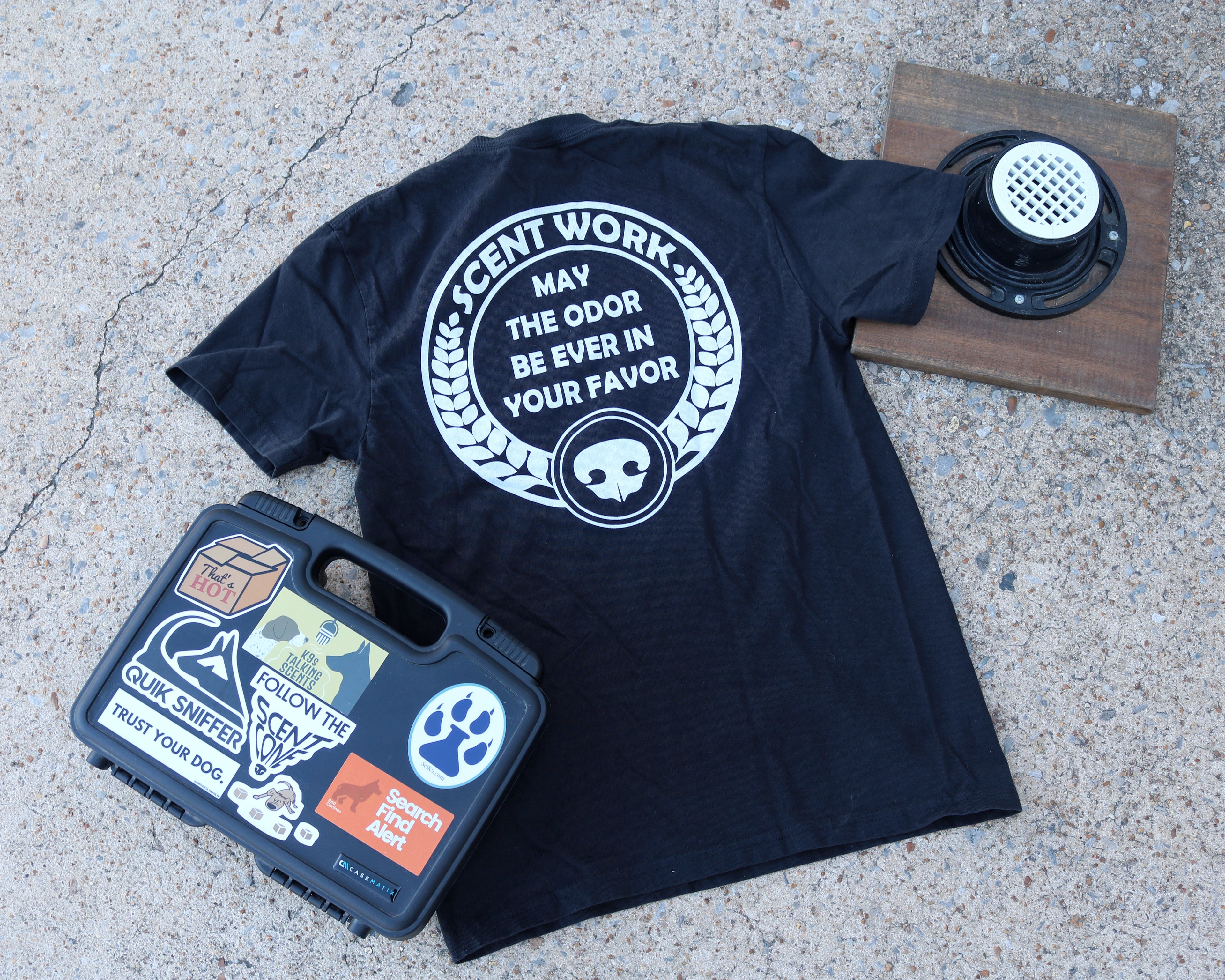 May The Odor Be Ever In Your Favor - Comfort Colors Unisex garment-dyed heavyweight t-shirt