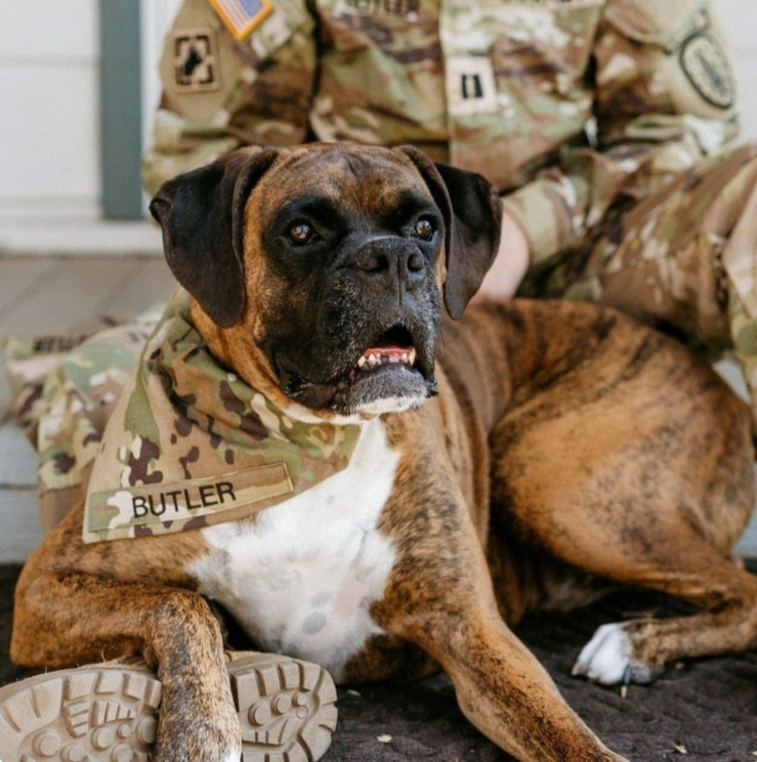 U.S. Army Air Force Multicam Custom Military Dog Cat Slip On Collar Bandana