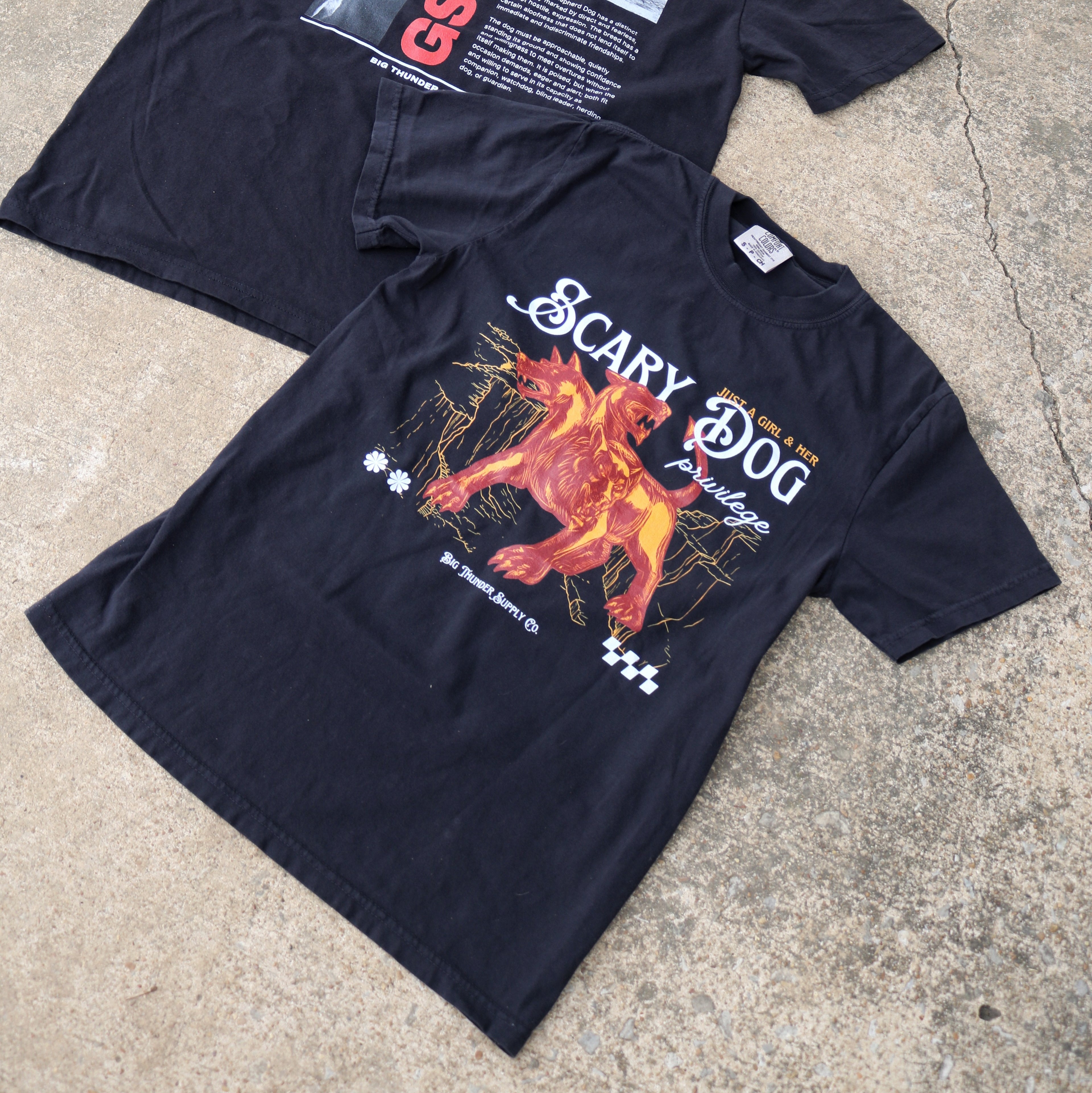 Scary Dog Privilege - Comfort Colors Unisex Heavyweight T-shirt