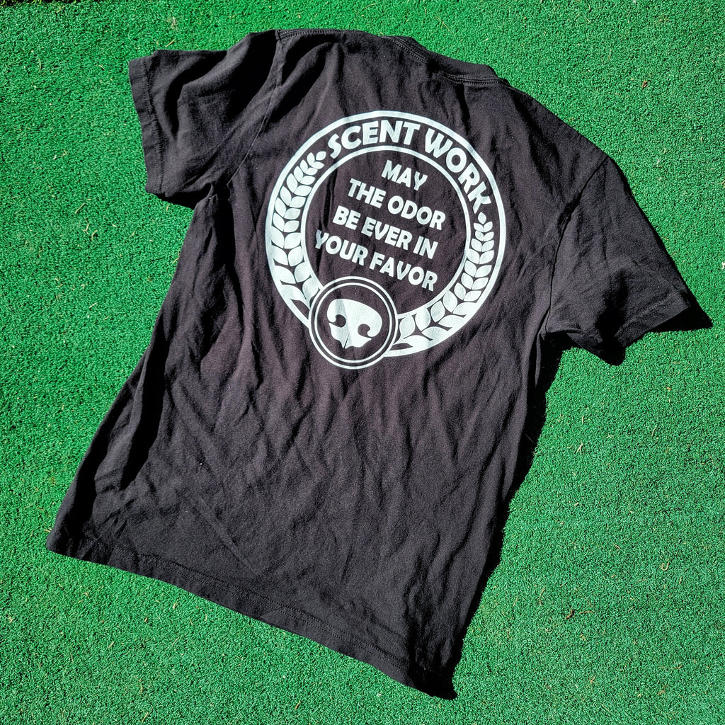 May The Odor Be Ever In Your Favor - Comfort Colors Unisex garment-dyed heavyweight t-shirt
