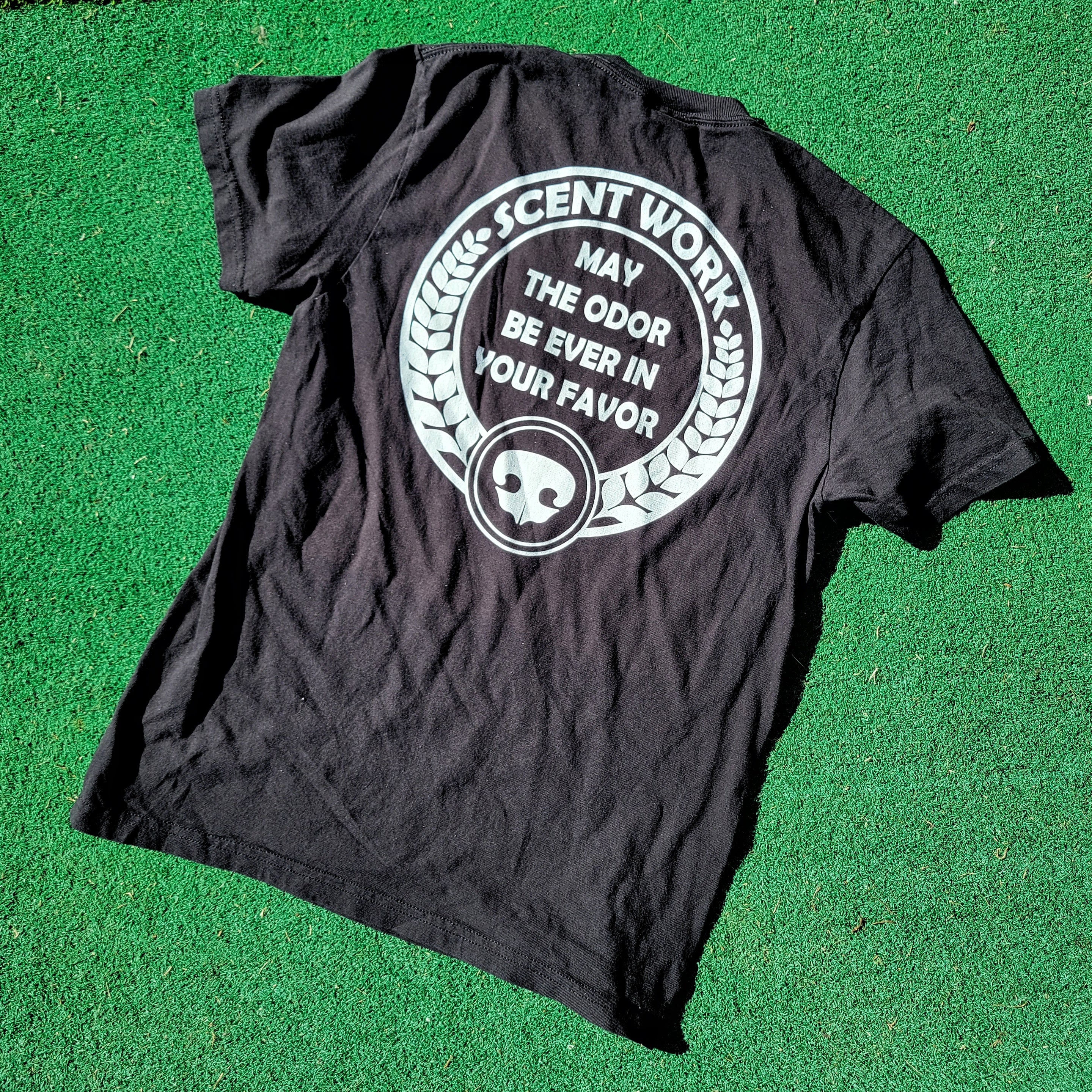 May The Odor Be Ever In Your Favor - Comfort Colors Unisex garment-dyed heavyweight t-shirt